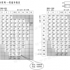 BMV大方系列马达