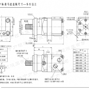 BMV标准小方系列马达