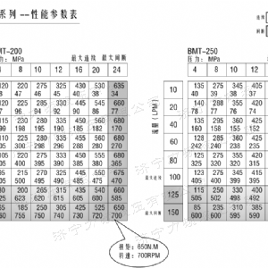 BMT车轮系列马达