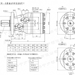 BMH系列交错油口完美·体育app（中国）官方网站马达